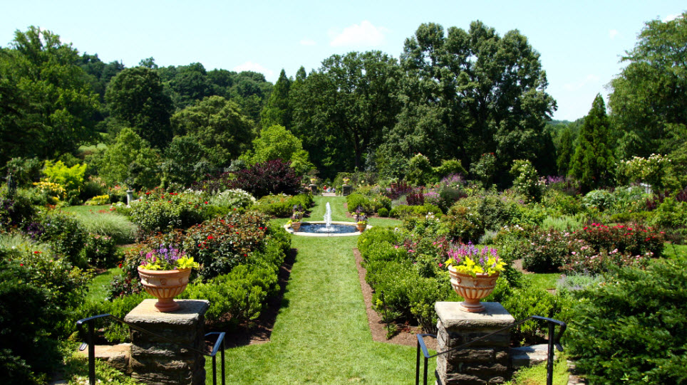 Morris Arboretum, United States
